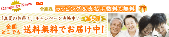 ��D�]�I�������������l�C���i �y �ő�P�T���n�e�e�I�z