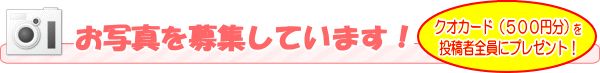 筆名詩のお写真を募集中です!